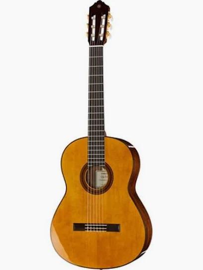 Klassisk nylonsträngad gitarr
